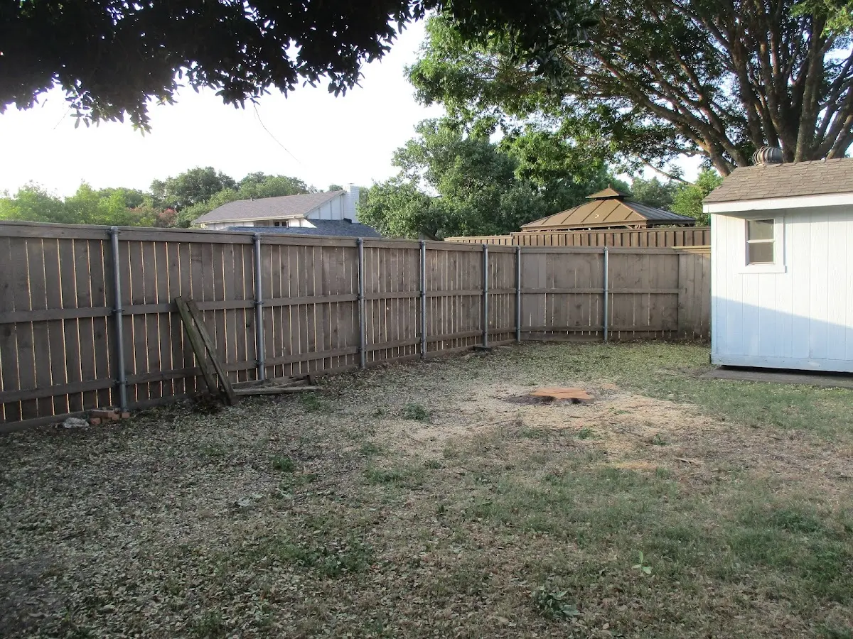 Cleared yard after professional tree removal in Ottsville